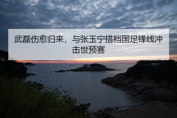 武磊伤愈归来，与张玉宁搭档国足锋线冲击世预赛